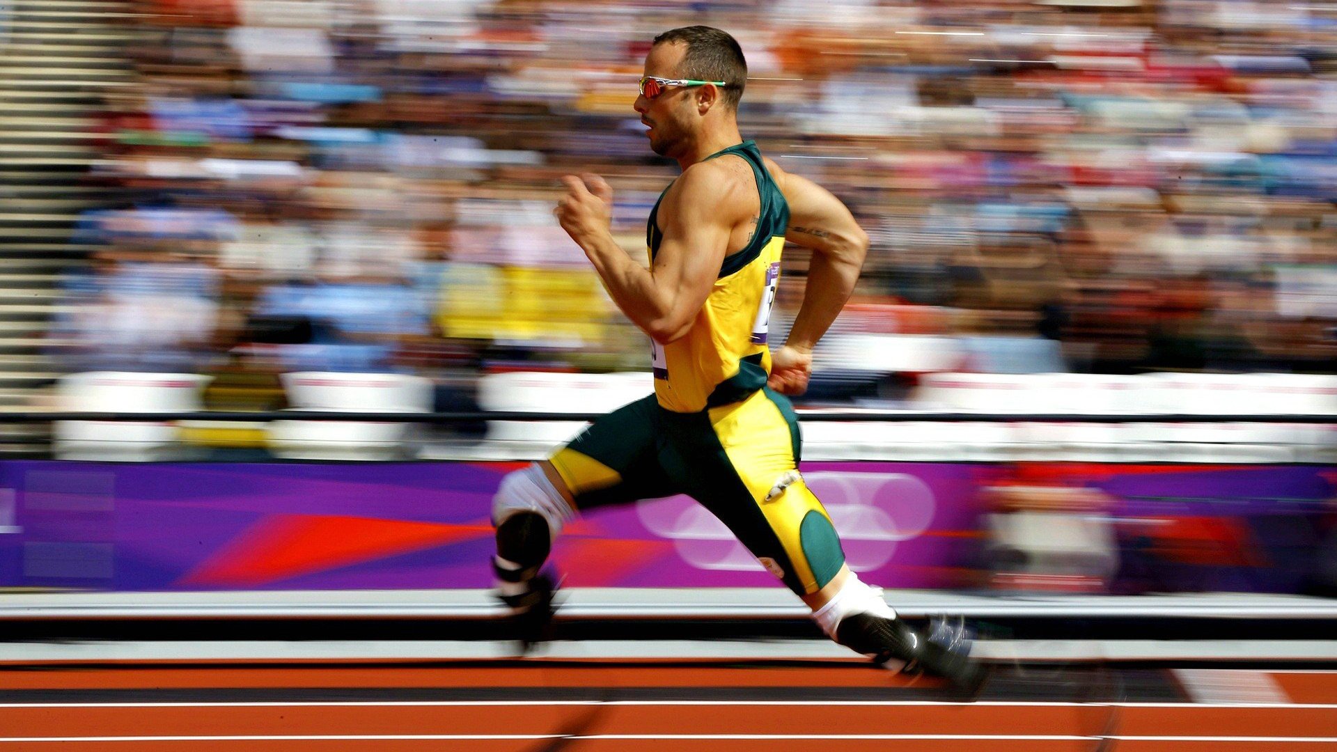 “足球场馆智能化改造助力赛事精彩纷呈”，创意足球场馆