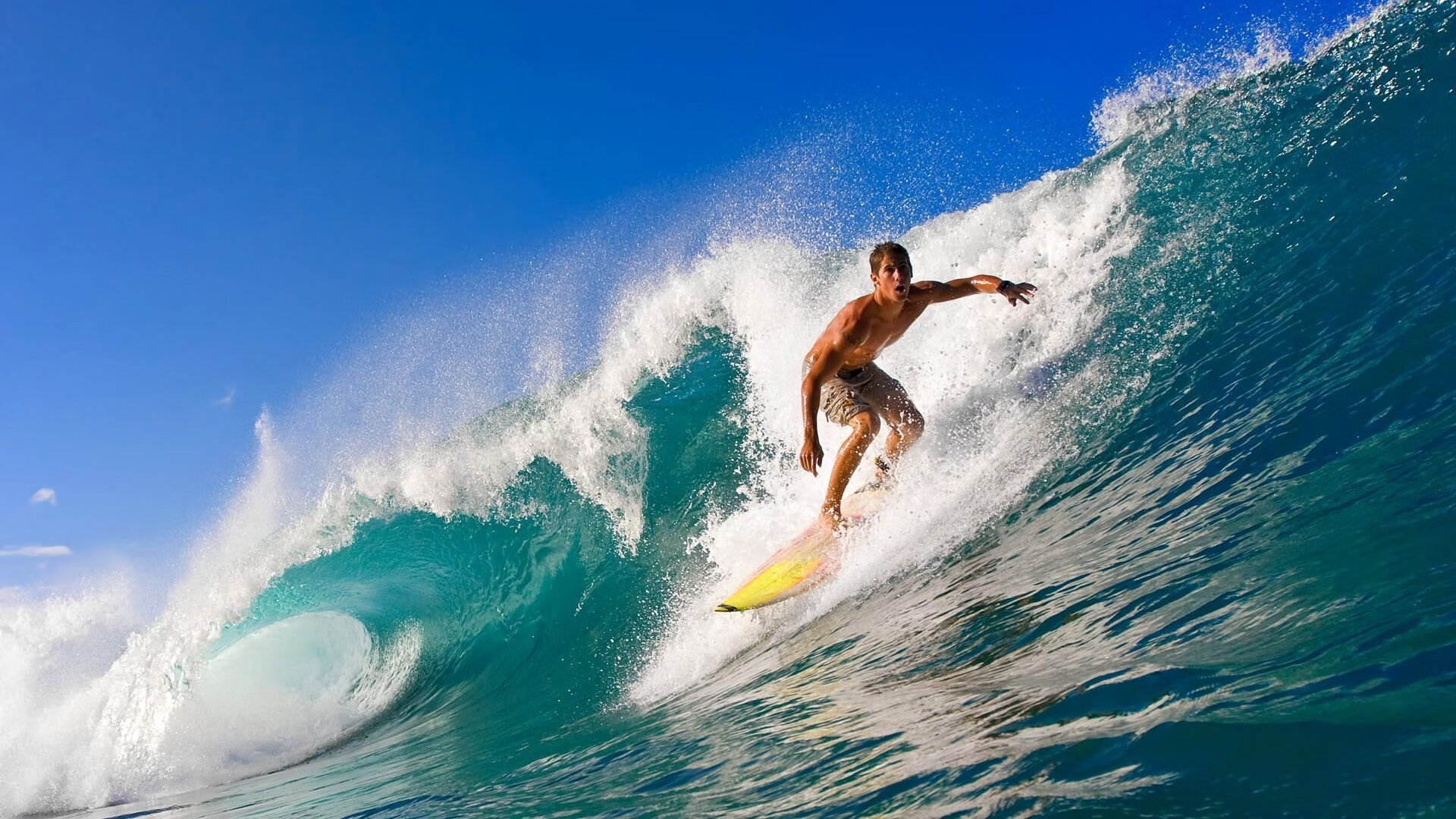 赛场冲刺：终点前的极限速度大战，终点冲刺跑